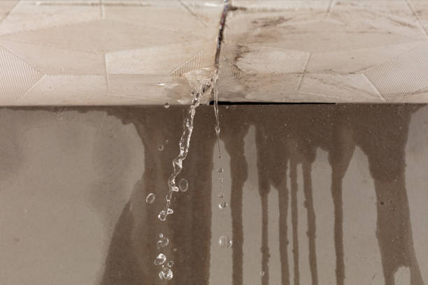 Professional Burst Pipe Cleanup technician working in Roselle, IL
